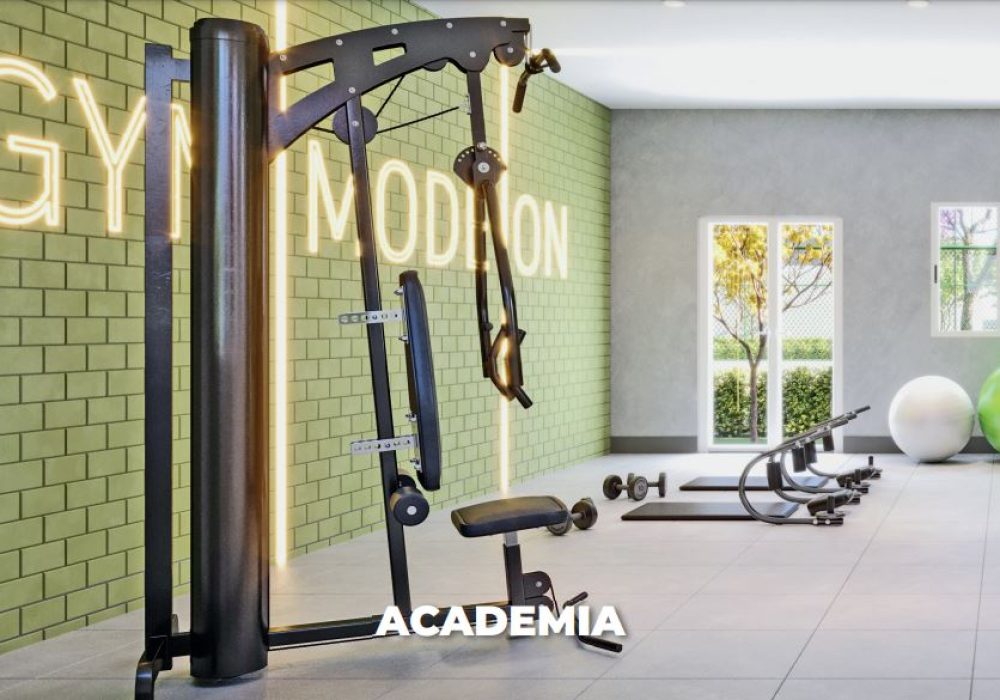 academia