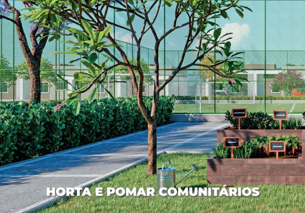 horta comunitária